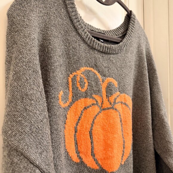 State of Mine Gray Pumpkin Sweater XXL - Picture 3 of 8
